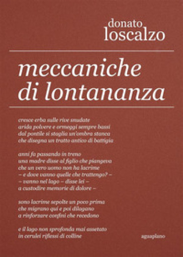 RITMI CLASSICI E MODERNA COMPLESSITÀ IN MECCANICHE DI LONTANANZA DI Donato Loscalzo